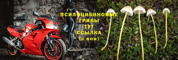 spice Зерноград
