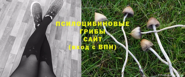 а пвп мука Зеленодольск